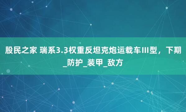 股民之家 瑞系3.3权重反坦克炮运载车Ⅲ型，下期_防护_装甲_敌方