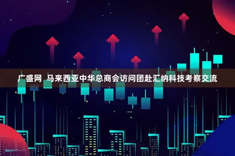 广盛网  马来西亚中华总商会访问团赴汇纳科技考察交流