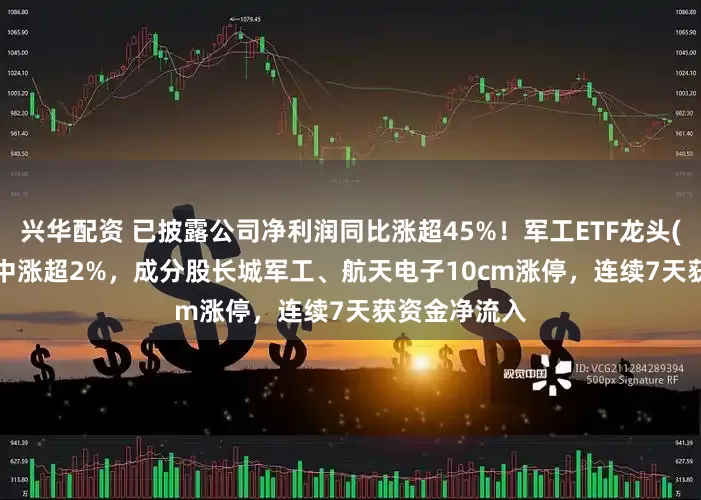 兴华配资 已披露公司净利润同比涨超45%！军工ETF龙头(512680)盘中涨超2%，成分股长城军工、航天电子10cm涨停，连续7天获资金净流入