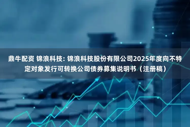 鼎牛配资 锦浪科技: 锦浪科技股份有限公司2025年度向不特定对象发行可转换公司债券募集说明书（注册稿）