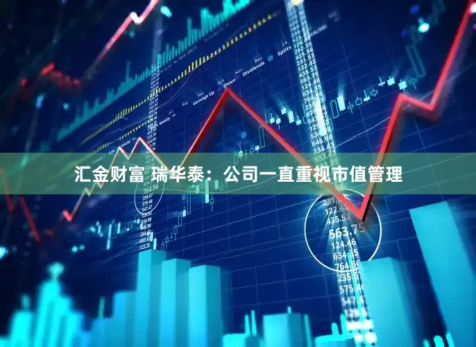 汇金财富 瑞华泰：公司一直重视市值管理