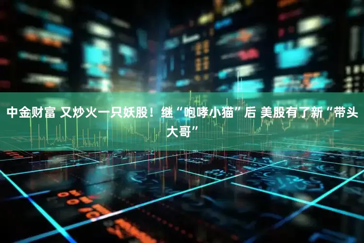 中金财富 又炒火一只妖股！继“咆哮小猫”后 美股有了新“带头大哥”